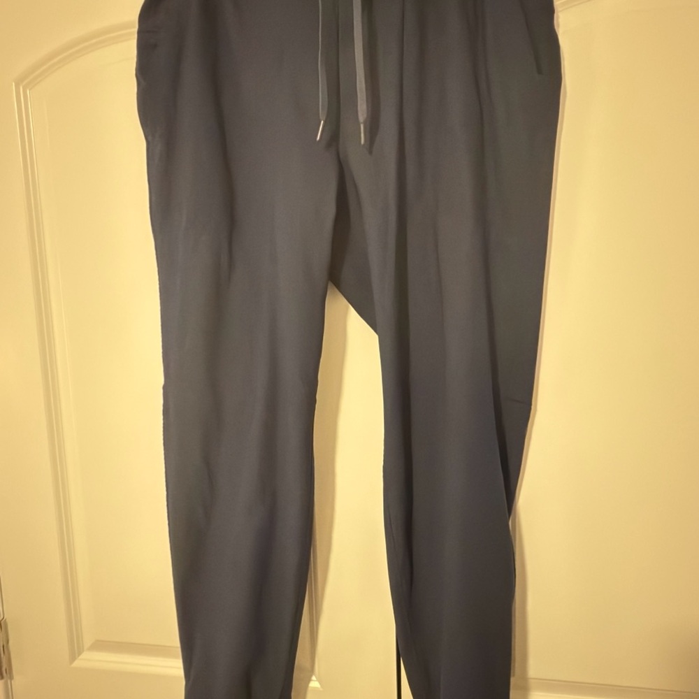 Lululemon Athletica Men's Blue ABC Joggers (XXL)